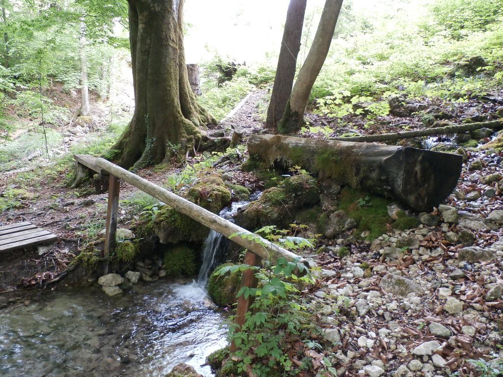 Kraeuterhof Miesrigl Villa Losenstein Buitenkant foto