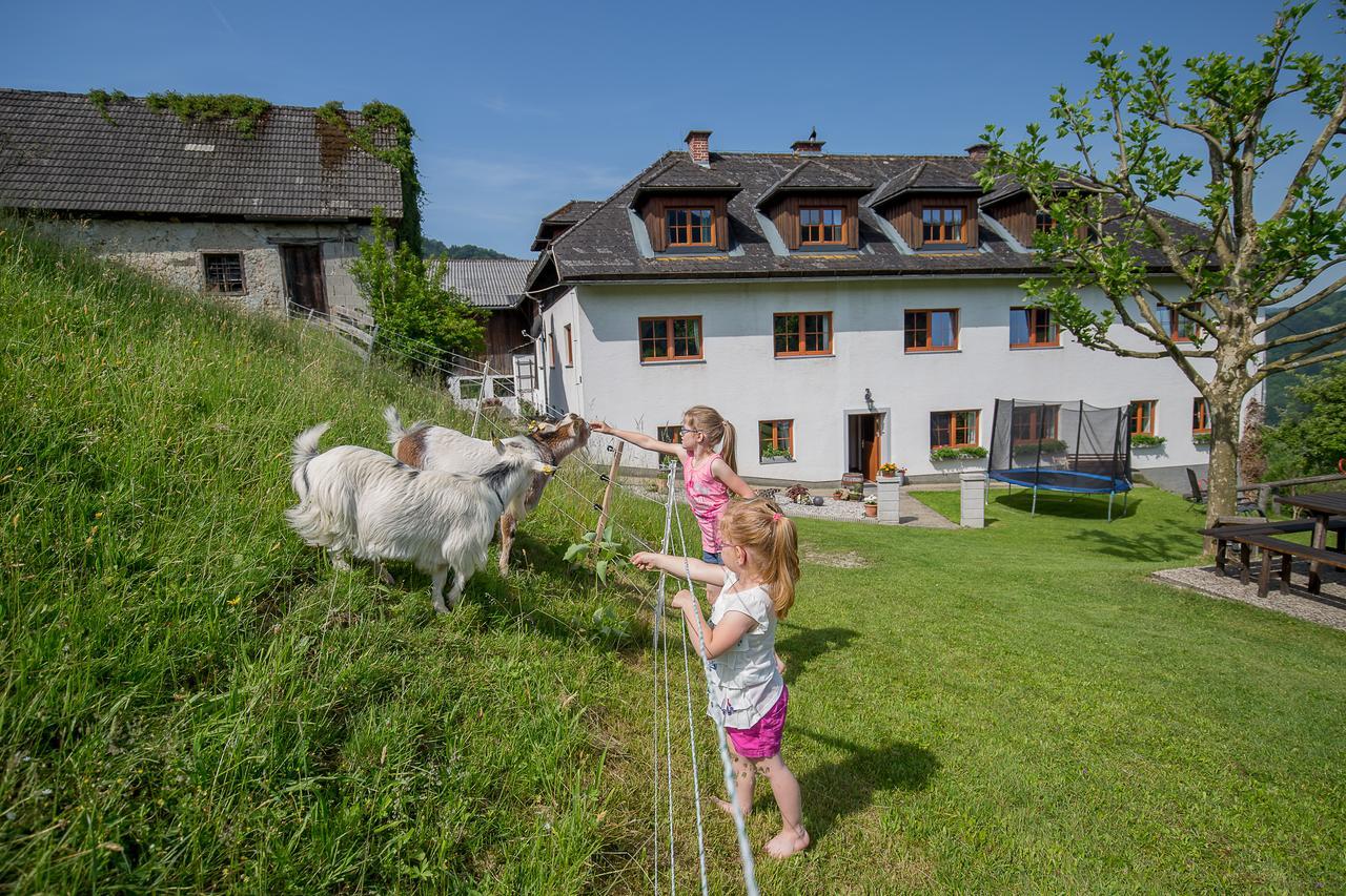 Kraeuterhof Miesrigl Villa Losenstein Buitenkant foto